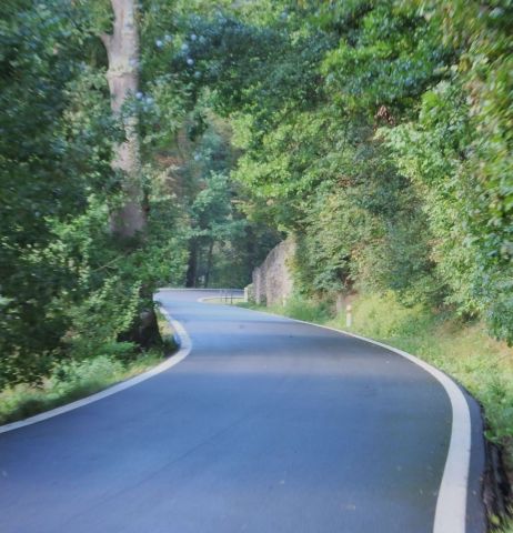 A poor photo of the road we traveled but notice there are no middle lines.