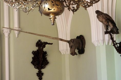 A unicorn! We were told that the horn actually is from an ocean dwelling fish?