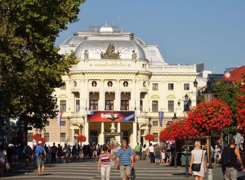 A view of some of the area in the Pedestine mall