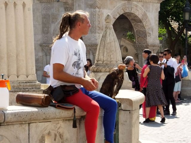I'm not sure what this man did to entertain but the raptor is what really caught my attention